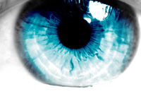 File:turqBlueEye.jpg